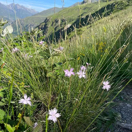 Pansiyon Entree Independante A Luz Luz-Saint-Sauveur
