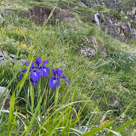 Pansiyon Entree Independante A Luz *